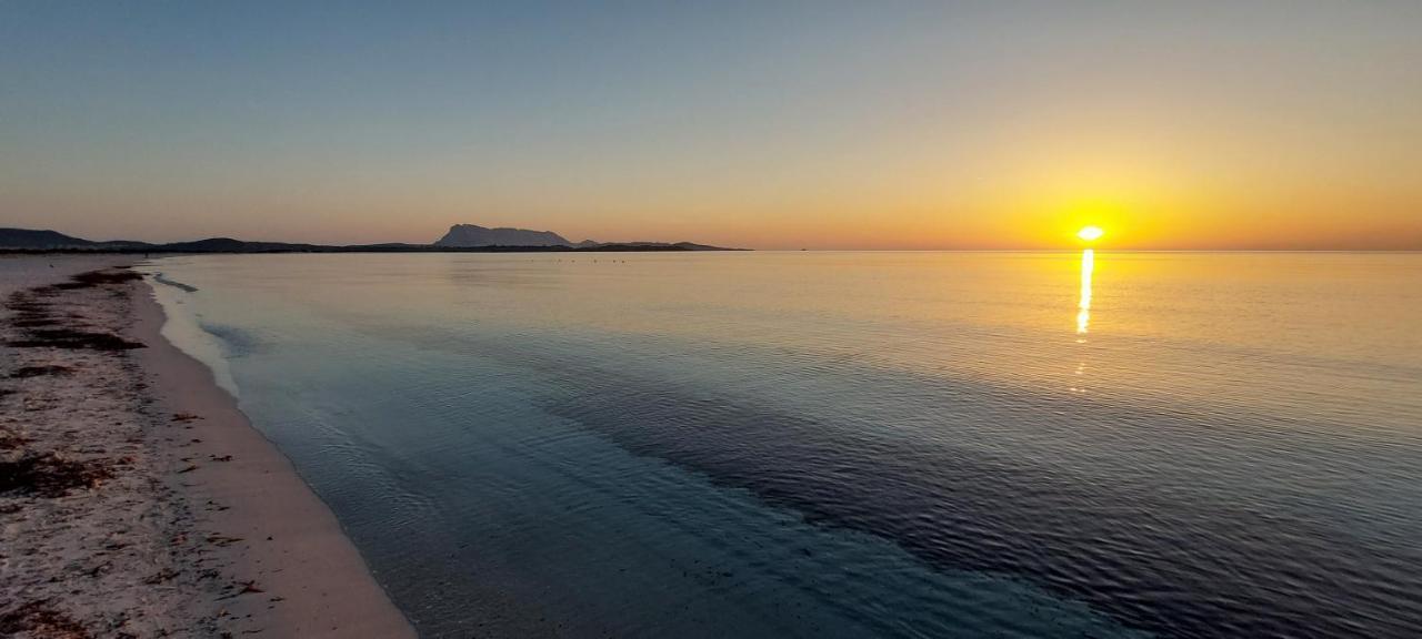 Appartamento Brigida Bilocale 2 Posti Vicino Al Centro San Teodoro  Exteriér fotografie